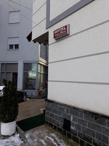 Hotel Theo Korce